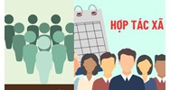 Quỹ hợp tác xã trung ương hoạt động theo mô hình nào?