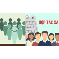 Quỹ hợp tác xã trung ương hoạt động theo mô hình nào?