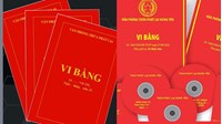 Khi kết thúc lập vi bằng thì Văn phòng Thừa phát lại phải gửi vi bằng đến đâu?