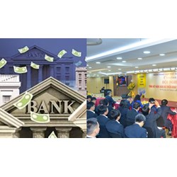 Tiêu chuẩn đối với vị trí Tổng Giám đốc Ngân hàng Hợp tác xã
