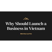 Reasons on Why You Should Launch a Business in Viet Nam?