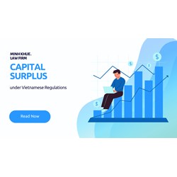 Vietnamese Regulation regarding Capital Surplus you should know