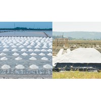 Nội dung sản xuất muối thủ công hợp tác xã được đầu tư cơ sở hạ tầng?