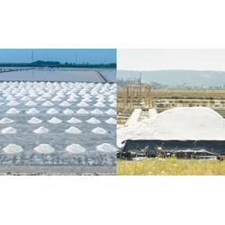 Nội dung sản xuất muối thủ công hợp tác xã được đầu tư cơ sở hạ tầng?
