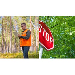 Thủ tục phê duyệt Phương án tạm sử dụng rừng hiện nay như thế nào?