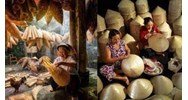 Để được công nhận là nghề truyền thống phải có tại địa phương bao lâu?