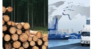 Thủ tục cấp giấy phép nhập khẩu gỗ thuộc danh mục CITES thế nào?