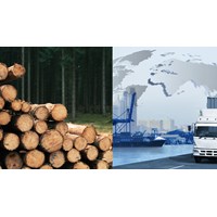 Thủ tục cấp giấy phép nhập khẩu gỗ thuộc danh mục CITES thế nào?