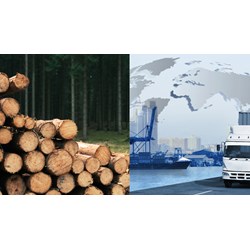 Thủ tục cấp giấy phép nhập khẩu gỗ thuộc danh mục CITES thế nào?