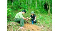 Tội lạm dụng nhu cầu quân sự trong khi thực hiện nhiệm vụ