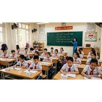 Nghị luận về tính tôn trọng kỉ luật chọn lọc hay nhất