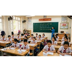 Nghị luận về tính tôn trọng kỉ luật chọn lọc hay nhất