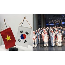Cách đi xuất khẩu lao động Hàn Quốc theo Chương trình EPS?