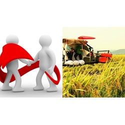 Hướng dẫn chuyển đổi hợp tác xã sang công ty theo quy định mới nhất