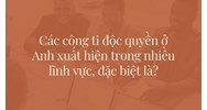 Các công ti độc quyền ở Anh xuất hiện trong nhiều lĩnh vực, đặc biệt là?
