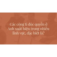 Các công ti độc quyền ở Anh xuất hiện trong nhiều lĩnh vực, đặc biệt là?