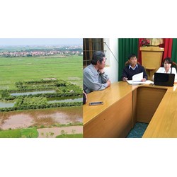 Các bên tranh chấp đất có thể chọn cách hòa giải nào theo Luật mới nhất?