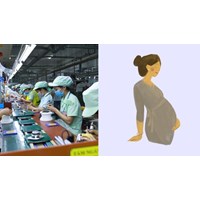 Mang thai từ tháng thứ 7 được miễn trực ca đêm không?