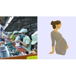Mang thai từ tháng thứ 7 được miễn trực ca đêm không?