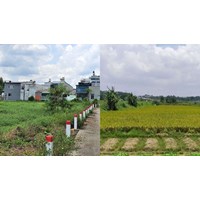 Nội dung cần lưu ý khi chuyển mục đích sử dụng đất