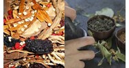 Hồ sơ đề nghị cấp lại giấy chứng nhận người có bài thuốc gia truyền