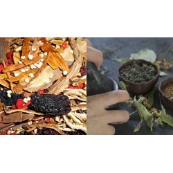 Hồ sơ đề nghị cấp lại giấy chứng nhận người có bài thuốc gia truyền