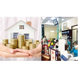 Quỹ tín dụng nhân dân được thực hiện những hoạt động nào?