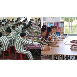 Phạm nhân được trích 14% kết quả lao động để bổ sung mức ăn