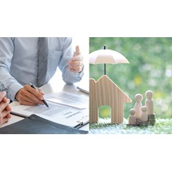 Đòi lại đất cho ở nhờ có phải bồi thường về tài sản hay không?