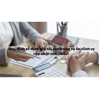 Quy định về định giá tài sản trong vụ án hình sự cập nhật mới nhất