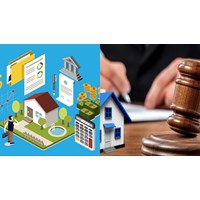 Tài sản vô chủ có đương nhiên được xác lập quyền sở hữu toàn dân?