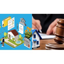 Tài sản vô chủ có đương nhiên được xác lập quyền sở hữu toàn dân?