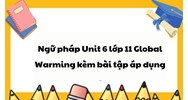 Ngữ pháp Unit 6 lớp 11 Global Warming kèm bài tập áp dụng