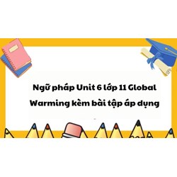Ngữ pháp Unit 6 lớp 11 Global Warming kèm bài tập áp dụng