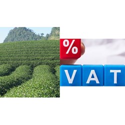 Sản phẩm trồng trọt (chè) có chịu thuế giá trị gia tăng không?