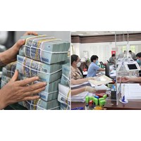 Lộ trình xây dựng Đề án về vị trí việc làm để cải cách tiền lương từ 01/7/2024