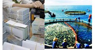 Nguyên tắc hỗ trợ ngân sách trung ương cho địa phương thực hiện an sinh xã hội