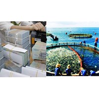 Nguyên tắc hỗ trợ ngân sách trung ương cho địa phương thực hiện an sinh xã hội