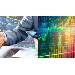 Mức phạt hành vi che giấu thông tin quyền sở hữu thực sự với chứng khoán