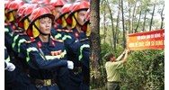 Chủ rừng là tổ chức có phải lập đội phòng cháy chữa cháy không?