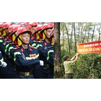 Chủ rừng là tổ chức có phải lập đội phòng cháy chữa cháy không?