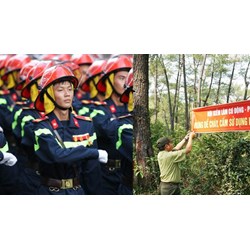 Chủ rừng là tổ chức có phải lập đội phòng cháy chữa cháy không?