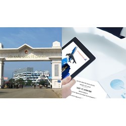 Quy định về biện pháp chỉ định cửa khẩu xuất khẩu, nhập khẩu