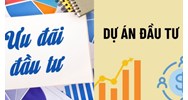 Dự án đầu tư vùng nông thôn dùng mấy lao động được hưởng ưu đãi đầu tư?