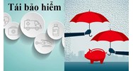 Doanh nghiệp bảo hiểm có được nhượng tái bảo hiểm theo quy định?