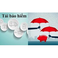 Doanh nghiệp bảo hiểm có được nhượng tái bảo hiểm theo quy định?