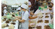 Công bố thủ tục hành chính mới lĩnh vực dược, y học cổ truyền mới