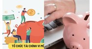 Những hoạt động tổ chức tài chính vi mô được phép thực hiện?