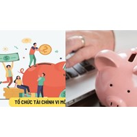 Những hoạt động tổ chức tài chính vi mô được phép thực hiện?