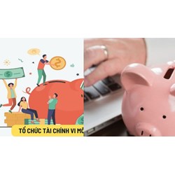 Những hoạt động tổ chức tài chính vi mô được phép thực hiện?